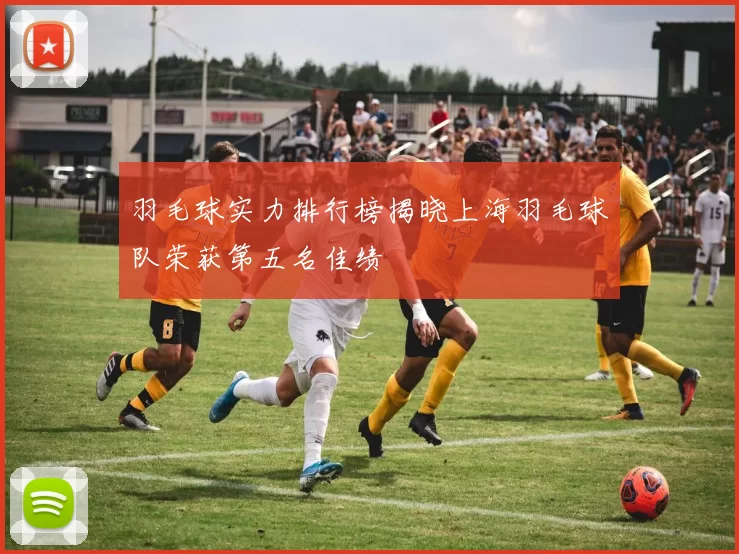 羽毛球实力排行榜揭晓上海羽毛球队荣获第五名佳绩