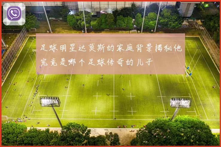 足球明星达莫斯的家庭背景揭秘他究竟是哪个足球传奇的儿子