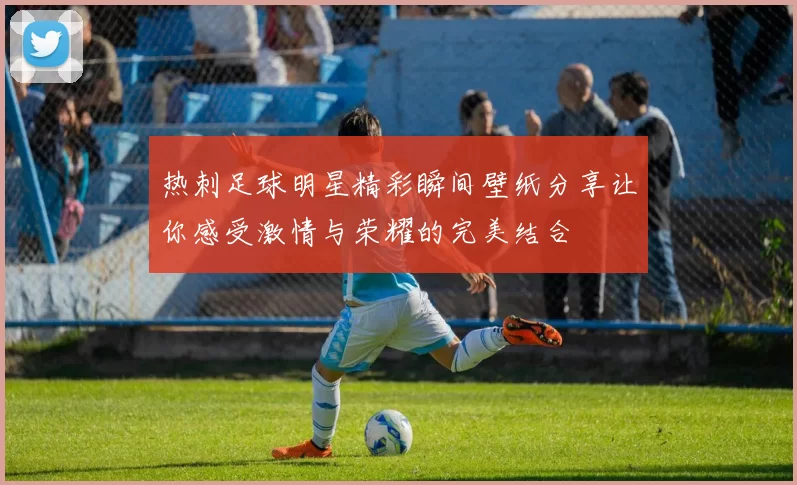 热刺足球明星精彩瞬间壁纸分享让你感受激情与荣耀的完美结合