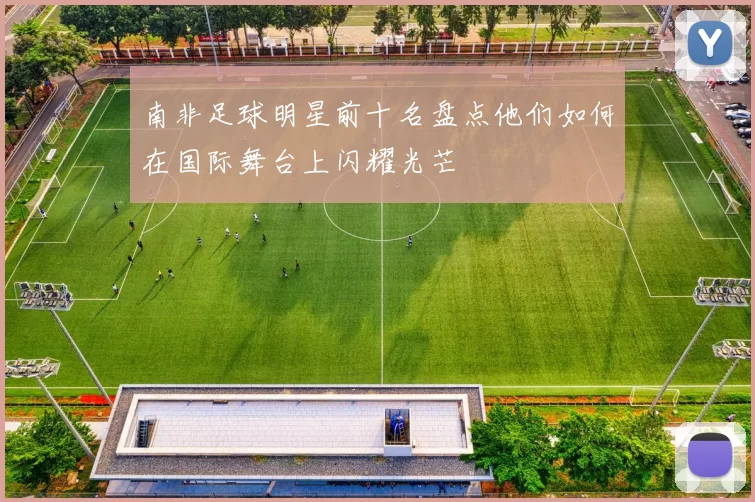 南非足球明星前十名盘点他们如何在国际舞台上闪耀光芒