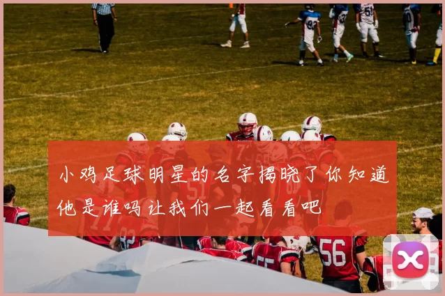 小鸡足球明星的名字揭晓了你知道他是谁吗让我们一起看看吧