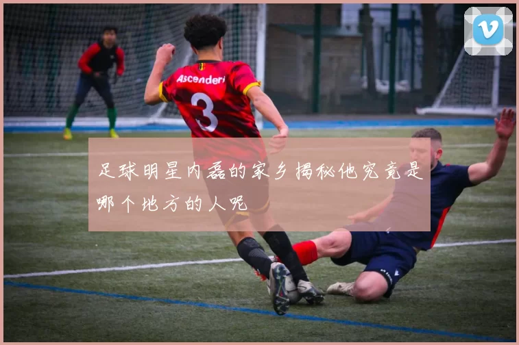 足球明星内磊的家乡揭秘他究竟是哪个地方的人呢